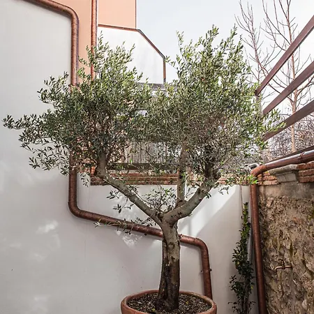 Il Loft Al 157 * Кастель-ди-Сангро