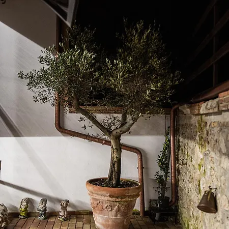 Il Loft Al 157 Apartment